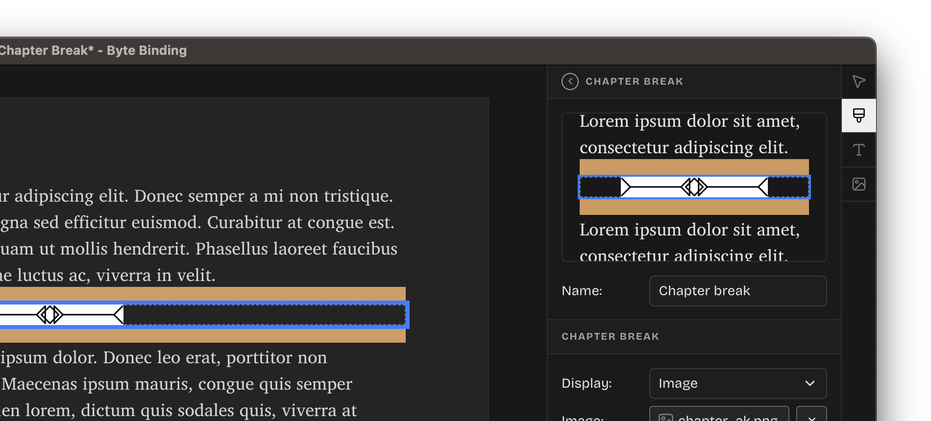 A screenshot of the app with a Chapter break style being edited.