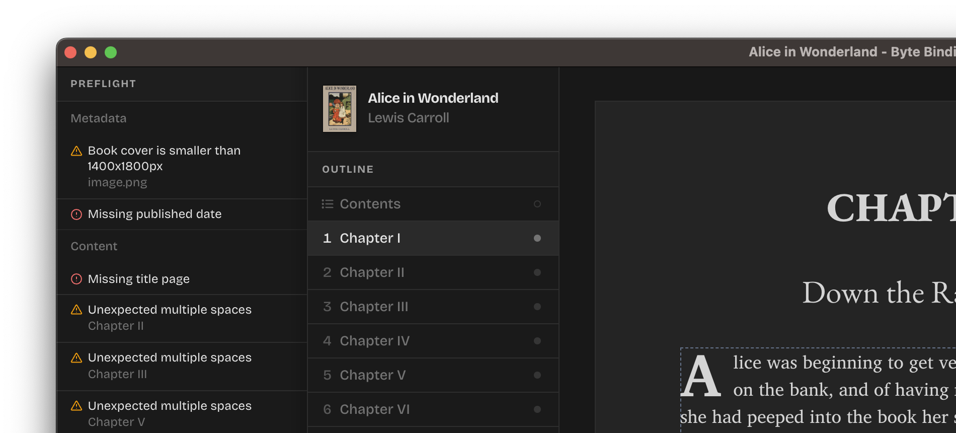 A screenshot of the Byte Binding project open with the Preflight panel visible to the left of the outline.